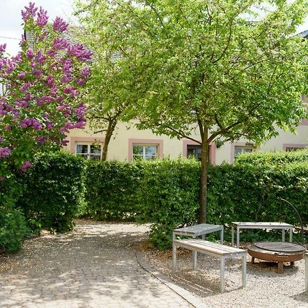 Nengshof Ferienwohnungen Mohnblume Und Kornblume Wißmannsdorf エクステリア 写真