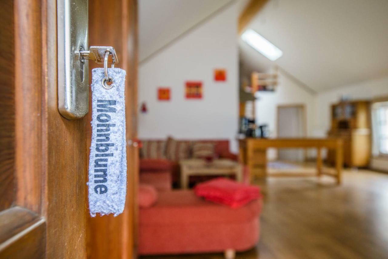 Nengshof Ferienwohnungen Mohnblume Und Kornblume Wißmannsdorf エクステリア 写真
