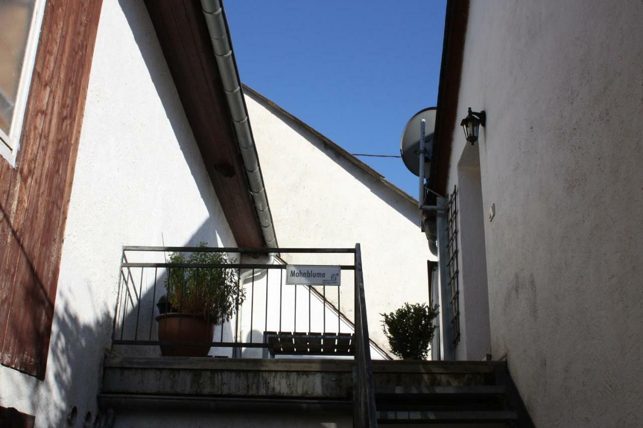 Nengshof Ferienwohnungen Mohnblume Und Kornblume Wißmannsdorf エクステリア 写真